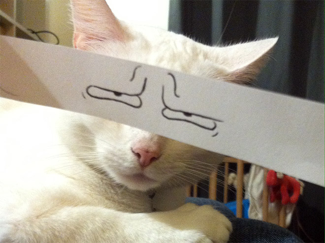 gatos-olhos-desenhados (1)