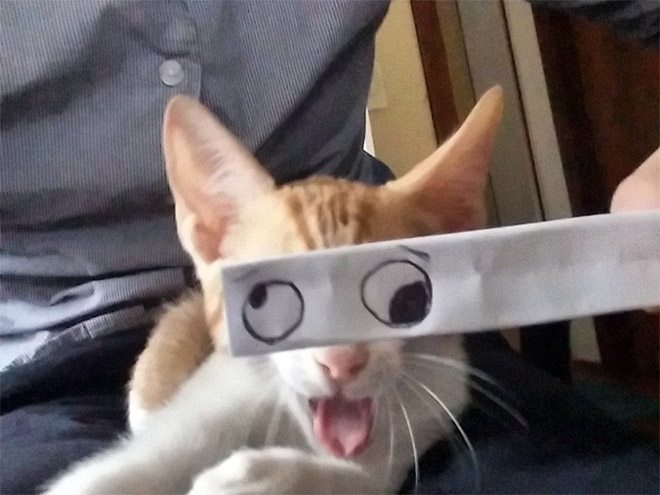 gatos-olhos-desenhados (14)