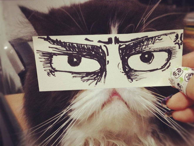 gatos-olhos-desenhados (16)