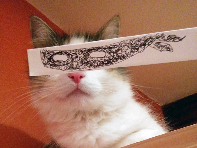 gatos-olhos-desenhados (17)