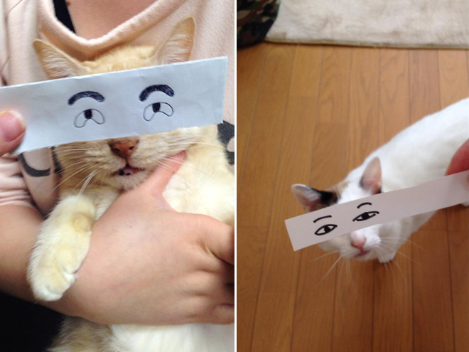 gatos-olhos-desenhados (2)