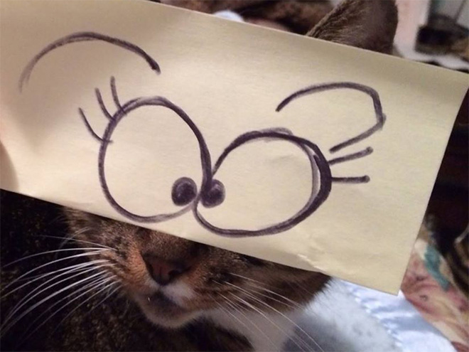 gatos-olhos-desenhados (4)