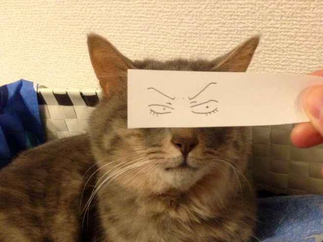 gatos-olhos-desenhados (6)