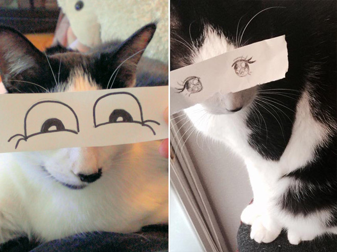 gatos-olhos-desenhados (9)