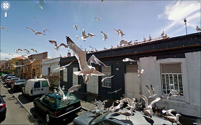 Imagens lindas capturadas pelo Google Street View01