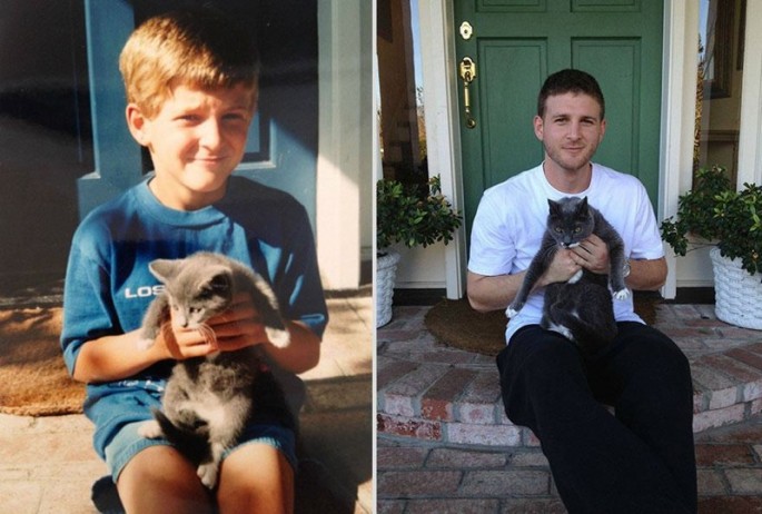 Antes e depois dos animais15