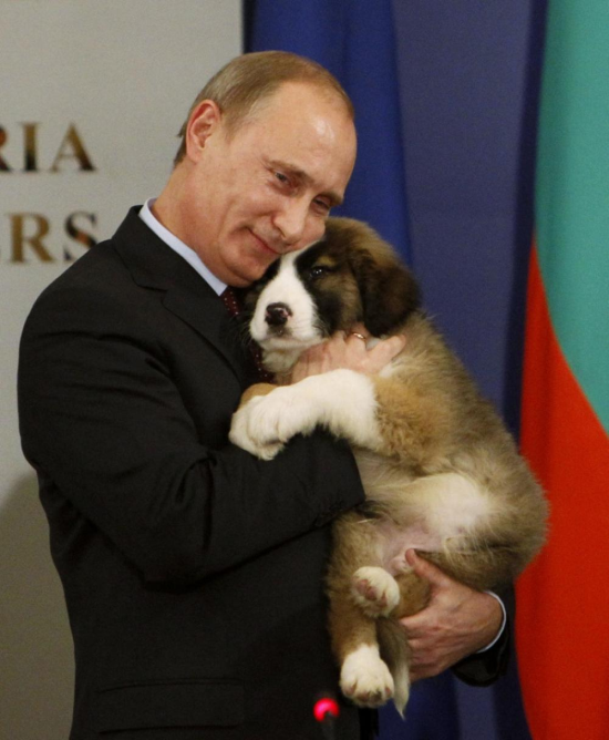 Porque Putin é o presidente mais legal do mundo09