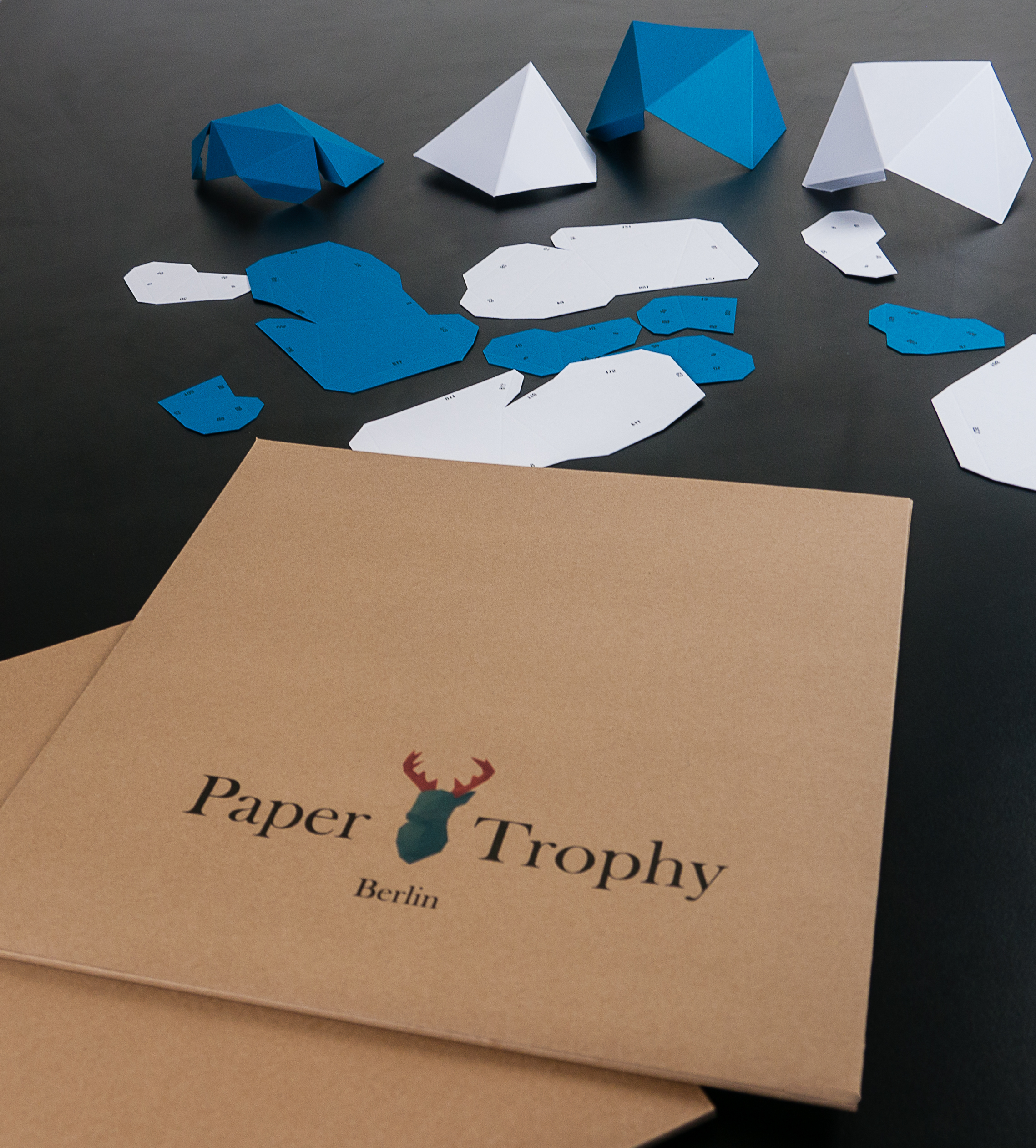 papertrophy (21)
